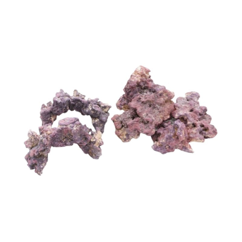 Riffgestein für das Nano-Aquarium