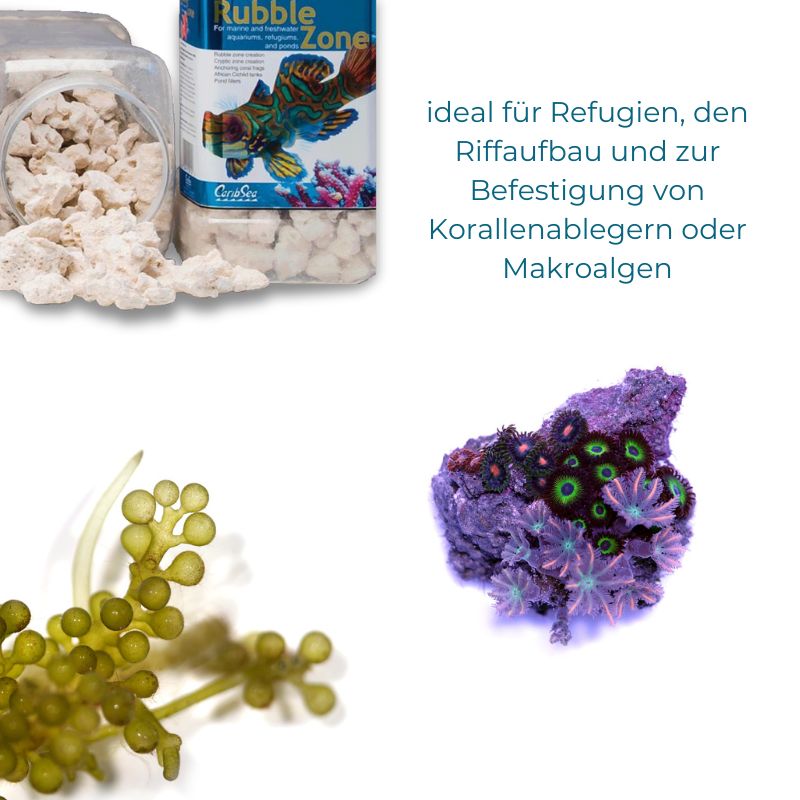 CaribSea Rubble Zone