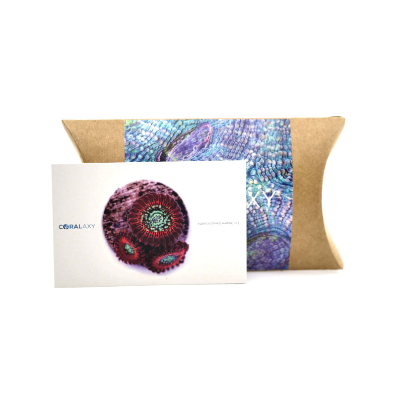 Gutschein "Hübsch verpackt"