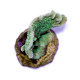 Pavona decussata 'Green cactus'
