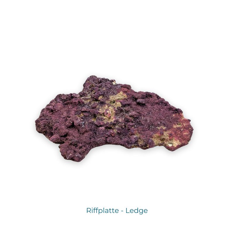 CaribSea Life Rock Dreamscapes