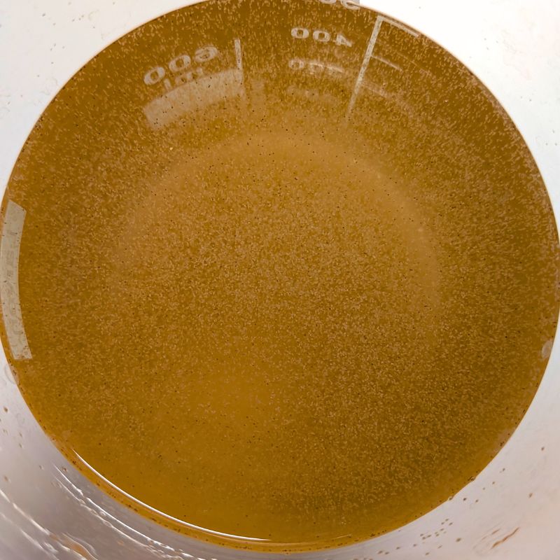 Ocean Nutrition Micro Artemia Cysts