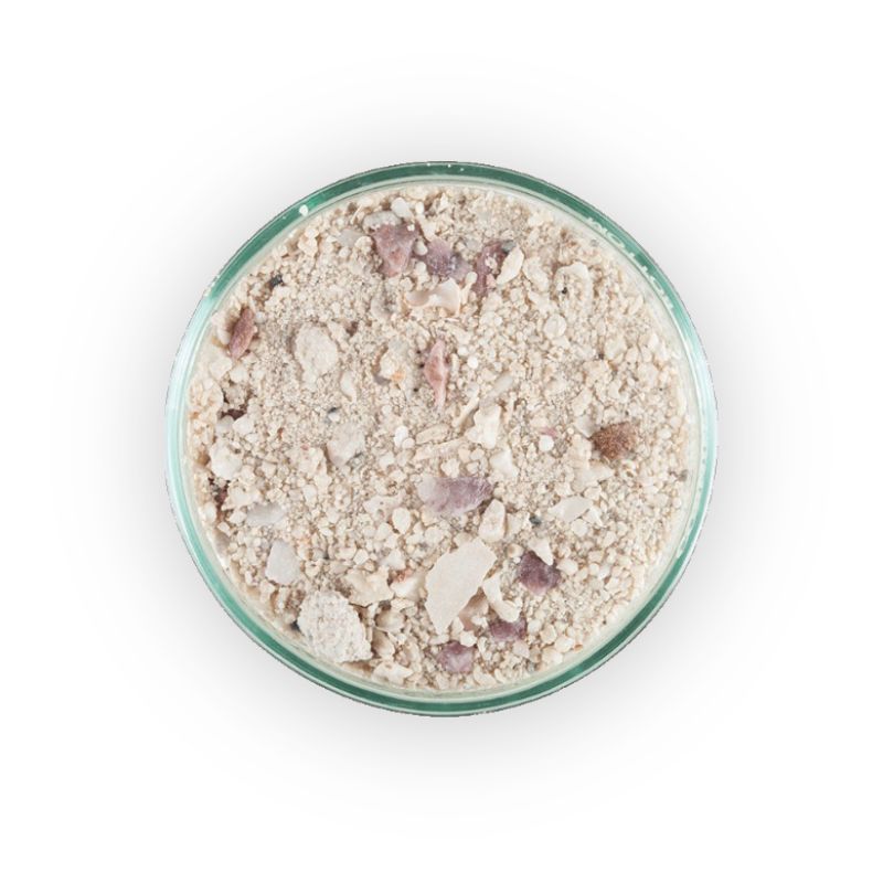 CaribSea Arag-Alive! Sand