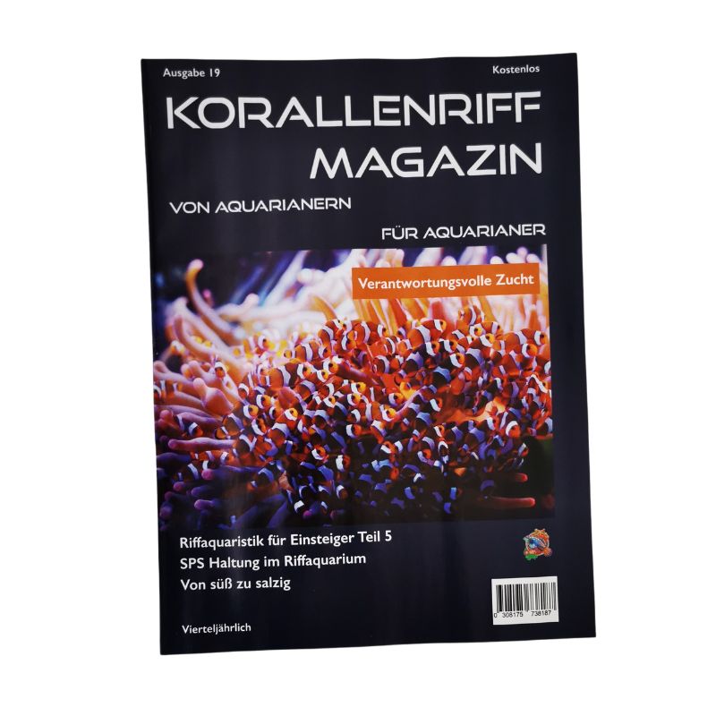 Korallenriff Magazin