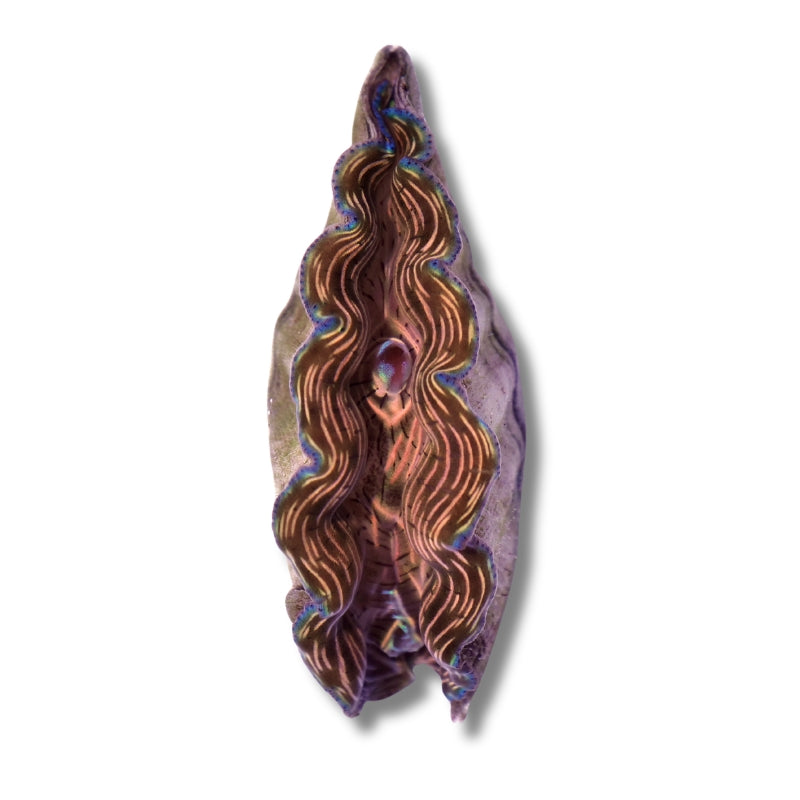 Tridacna sylvatica