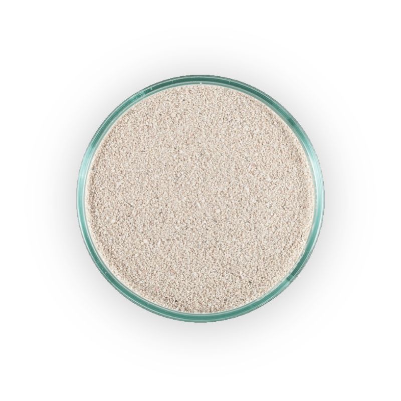 CaribSea Caribbean Live Sand Ocean Direct