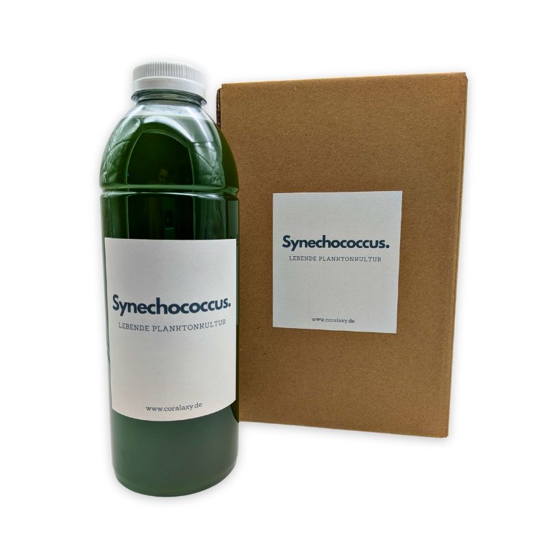 Synechococcus Plankton