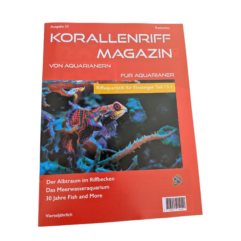 Magazine